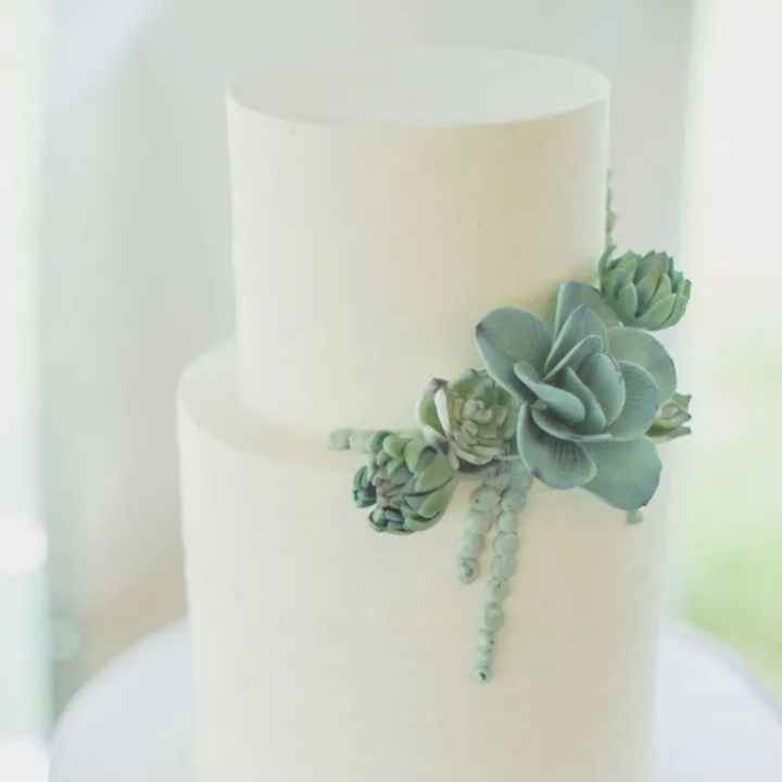 Pasteles con suculentas - 10