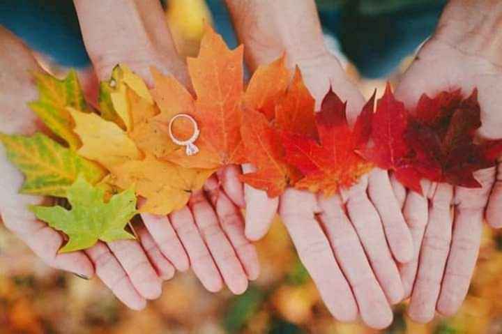Otoño: fotos con tu anillo de compromiso 💍🍁 - 1
