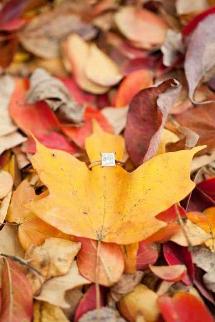 Otoño: fotos con tu anillo de compromiso 💍🍁 - 2