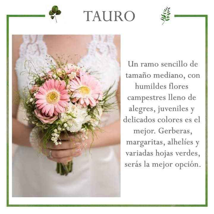 El ramo y tu signo - 6