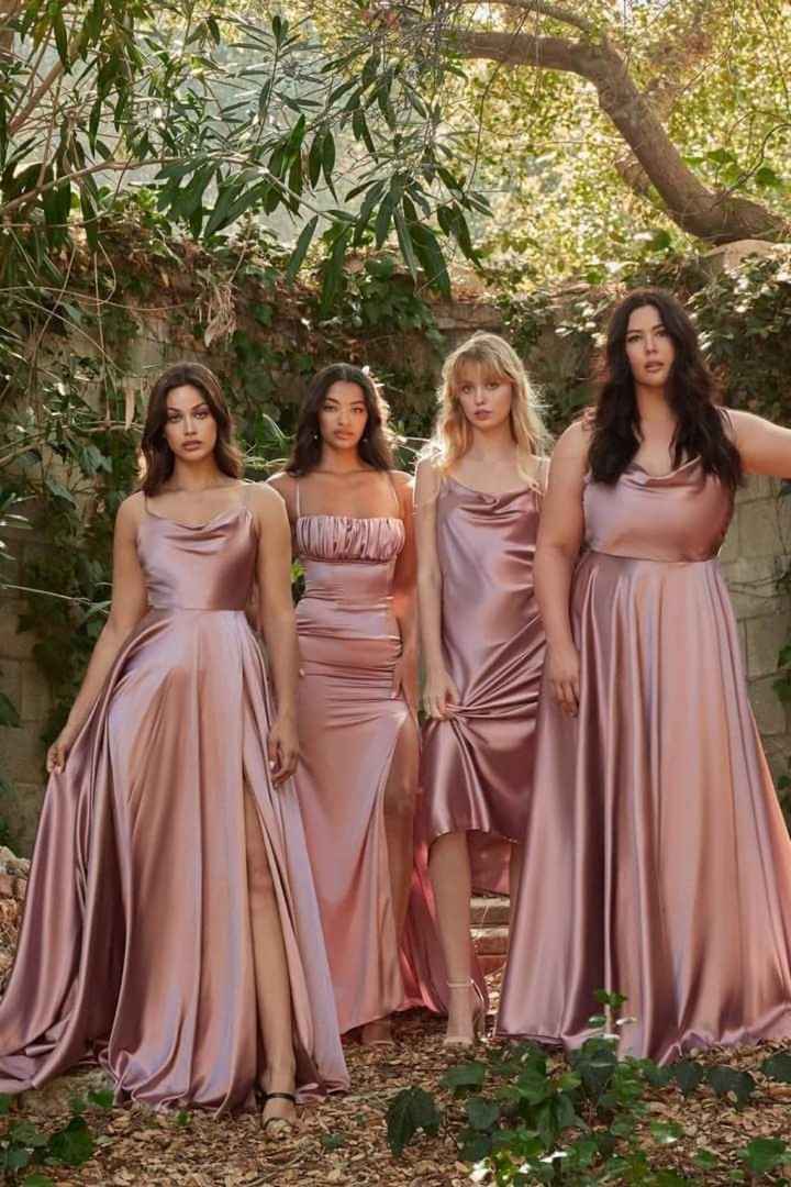 Vestidos damas de honor 2023 Ladivine - 2