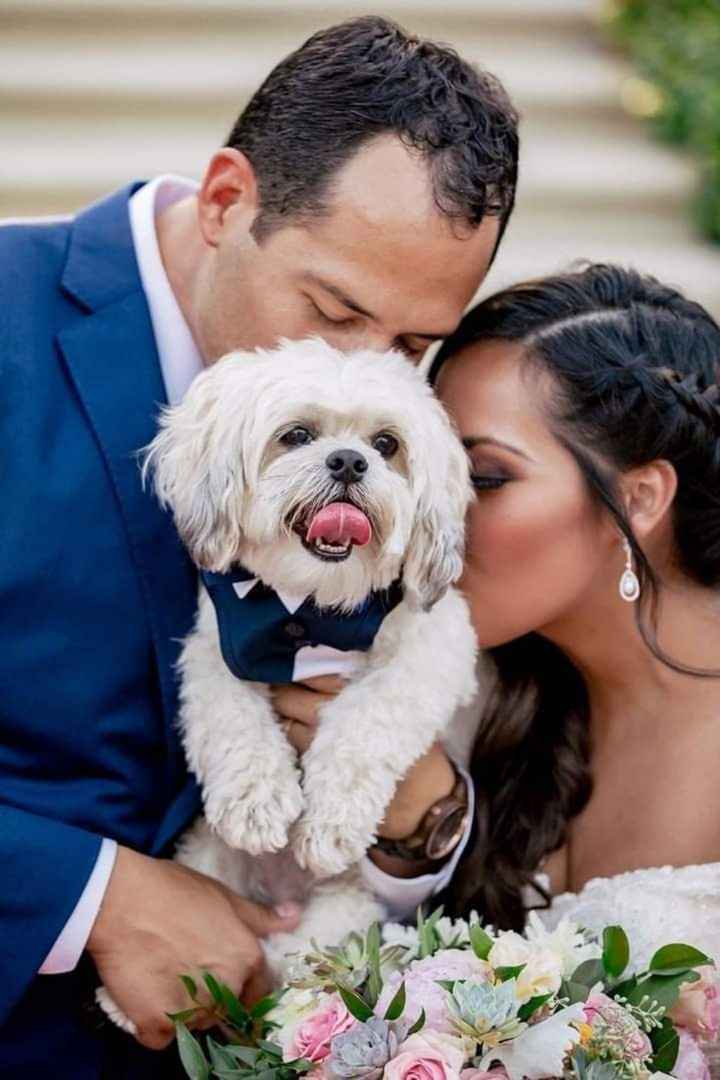 Fotos con tus perrhijos 🐕 - 3