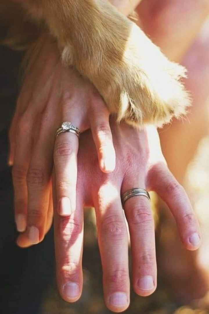 Fotos con tus perrhijos 🐕 - 4
