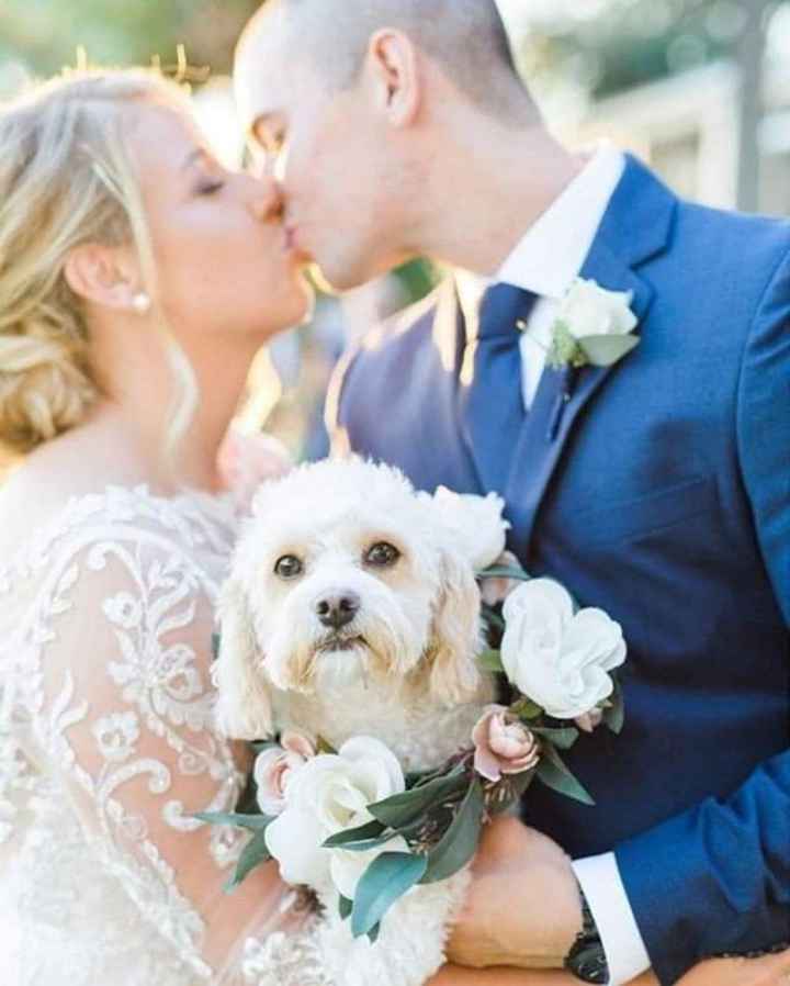 Fotos con tus perrhijos 🐕 - 5