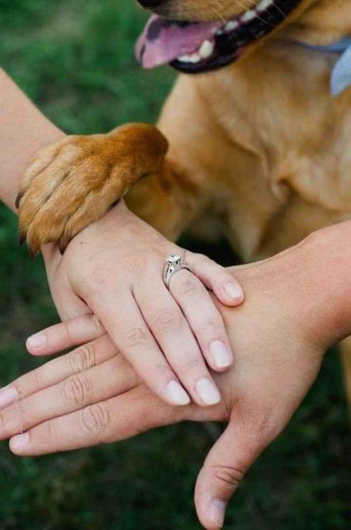 Fotos con tus perrhijos 🐕 - 6