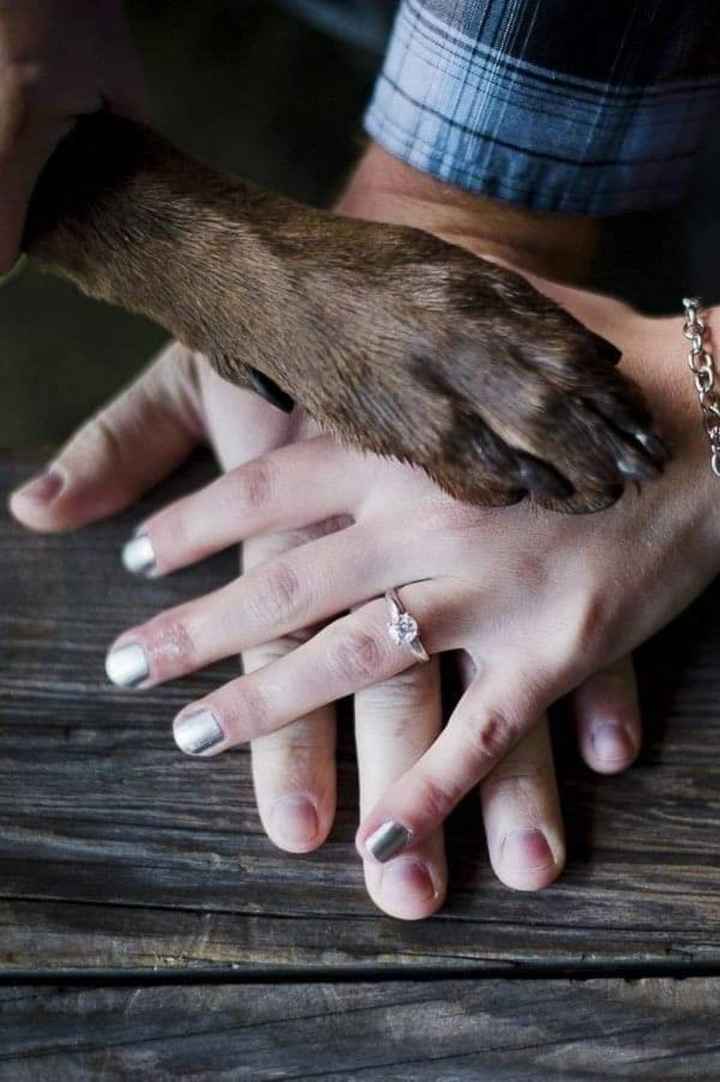 Fotos con tus perrhijos 🐕 - 8
