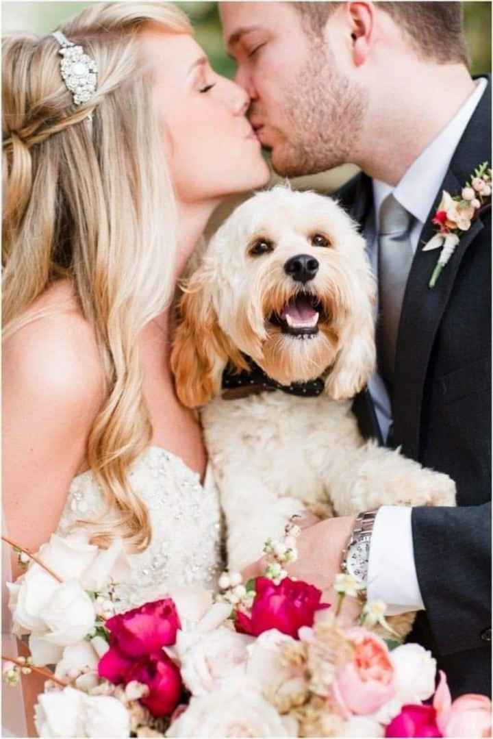 Fotos con tus perrhijos 🐕 - 9