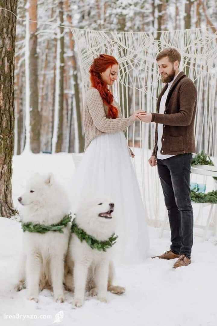 Invierno: fotos 2 ❄️❄️❄️❄️ - 2