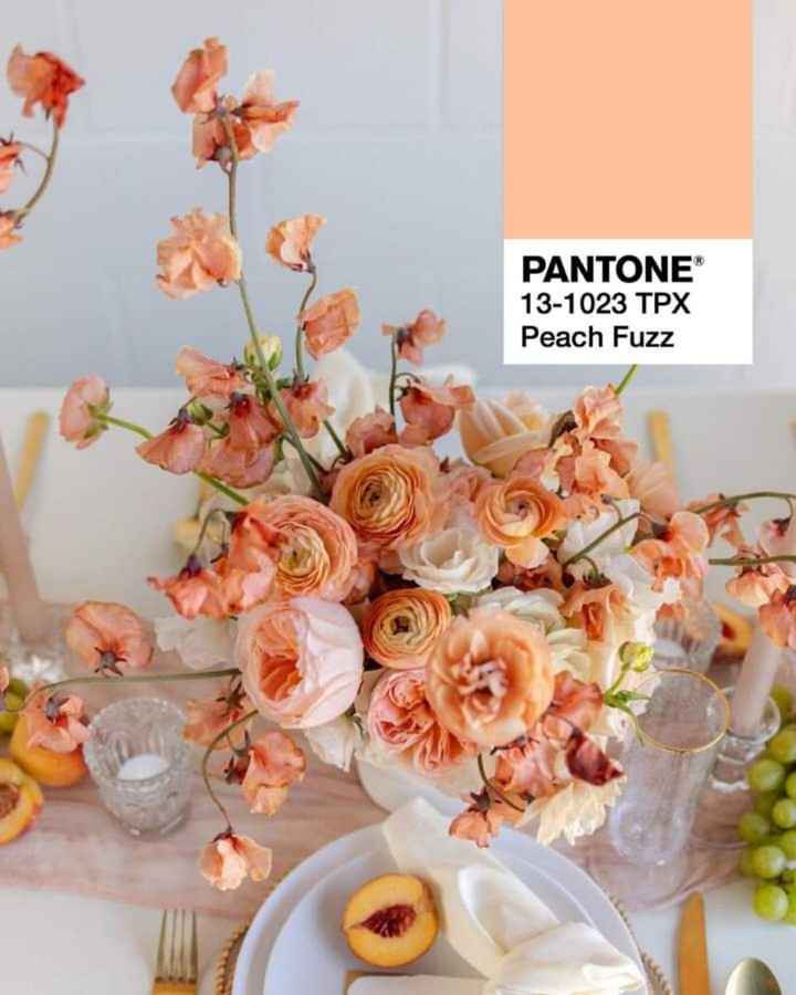 y el color Pantone del año 2024 es...peach Fuzz - 1