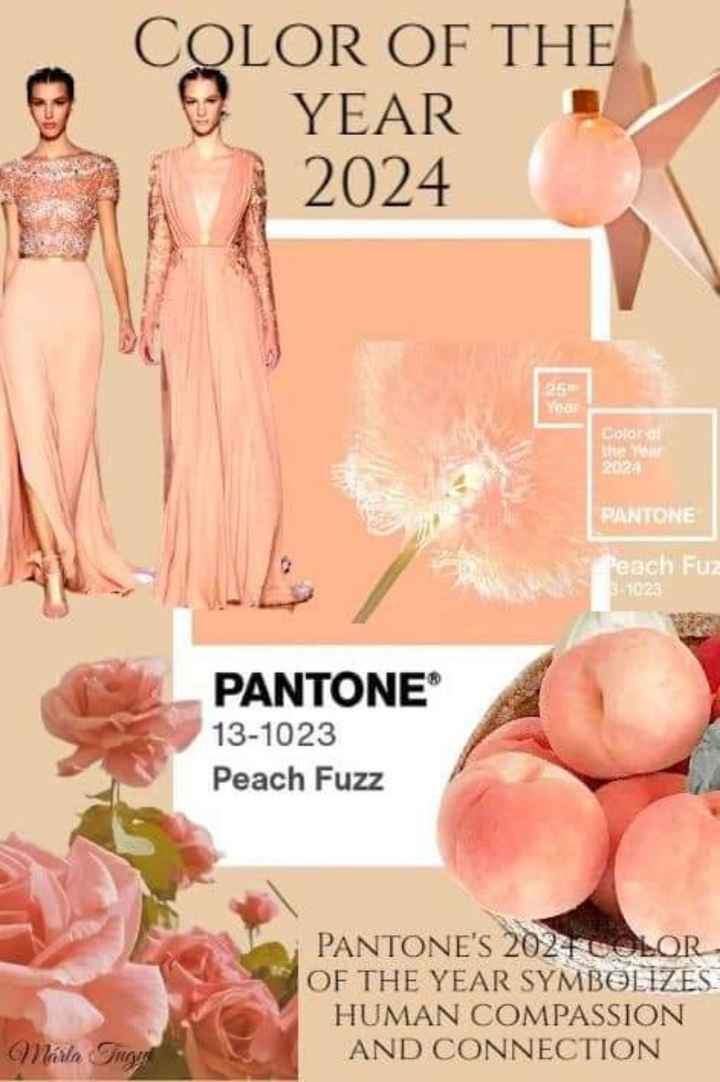 y el color Pantone del año 2024 es...peach Fuzz - 27