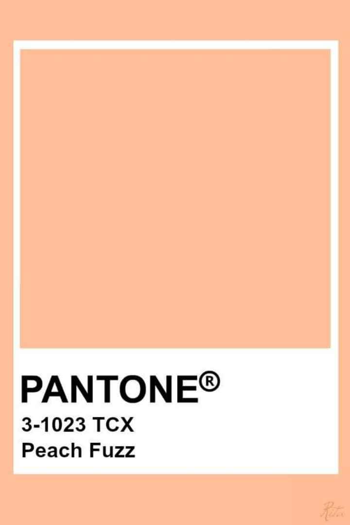 Uñas en Peach Fuzz - 1