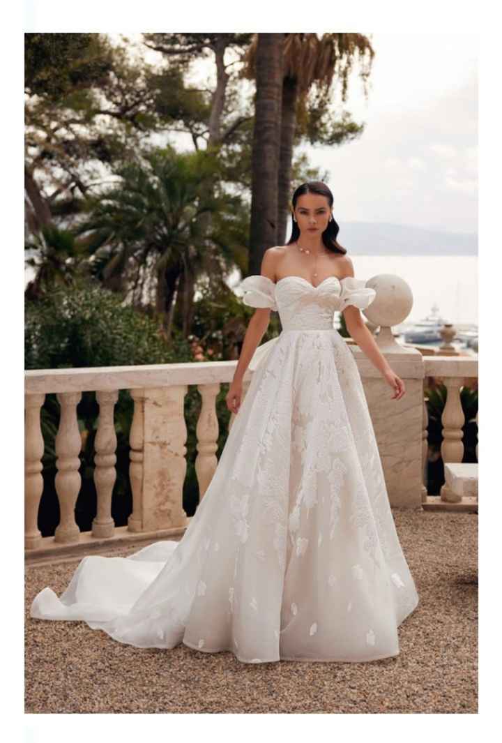 Vestidos colección otoño-invierno 2024 Happily Ever After by Katy Corso - 35