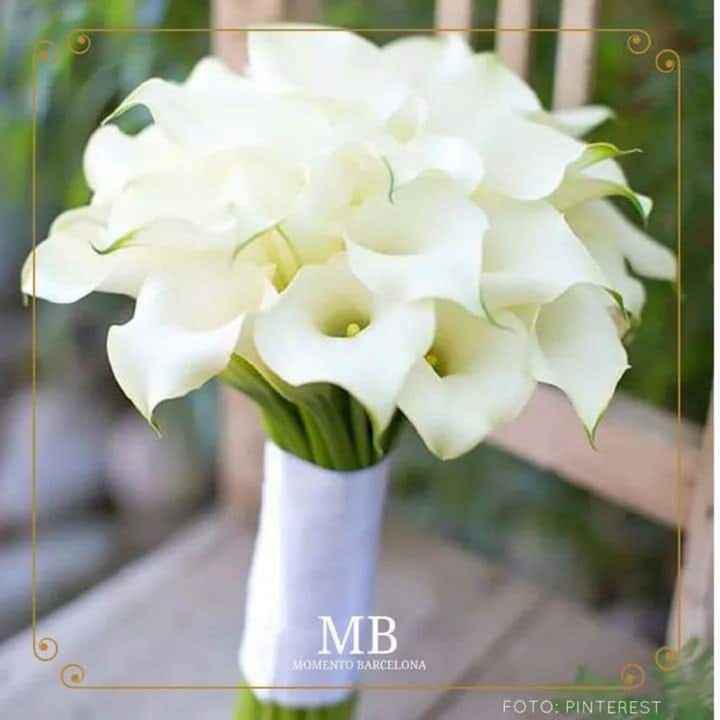 Ramos 💐 - 6