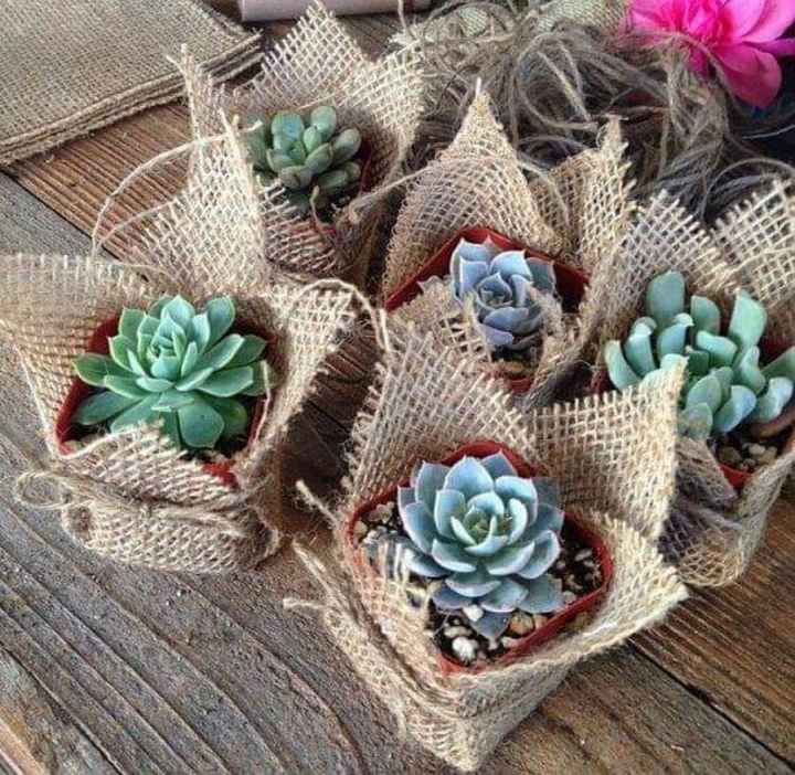 En color blanco y verde tu boda🤍💚 - 26