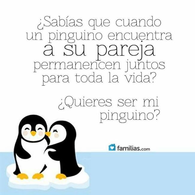 ¿Cómo se dicen de cariño? - 1