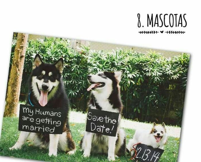 Ideas para tu save the date - 9