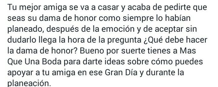 Manual para la dama de honor - 2