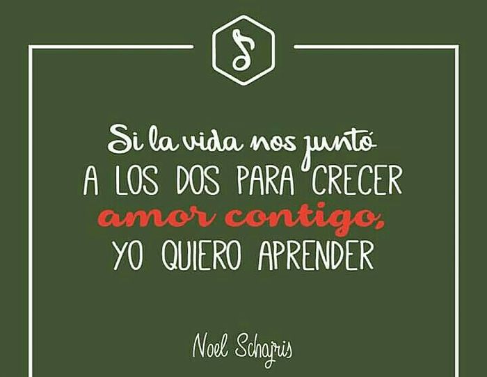 Frases bonitas hechas canción 2 - 14