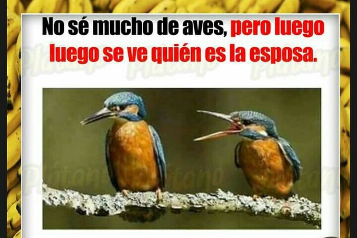 Sábado con buen humor - 4