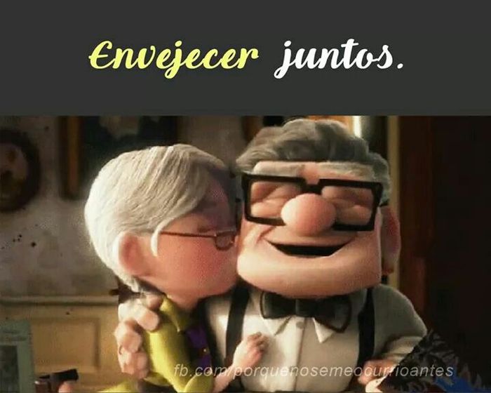 Enseñanzas sobre parejas de la película up - 13