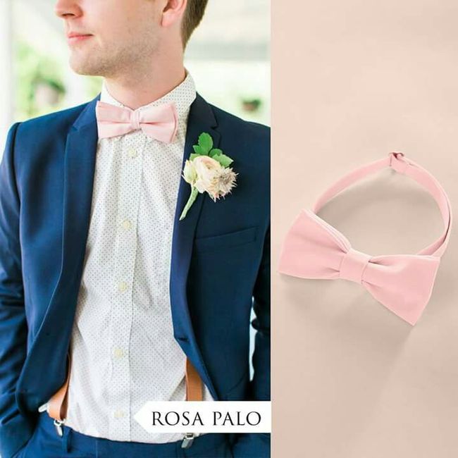Moños para el novio y padrinos - 12