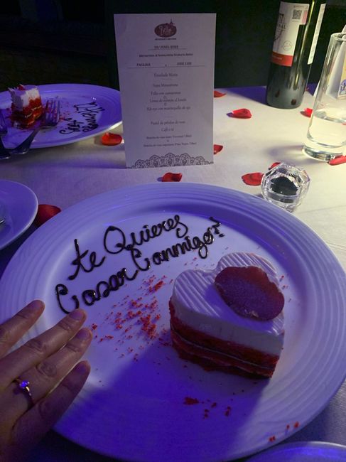 Mi propuesta de matrimonio fue__ - 1