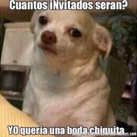 ¿Cuántos invitados tendrás? - 1