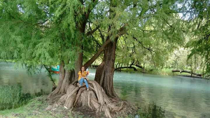 Hermoso lugar donde quiero mis fotos - 5