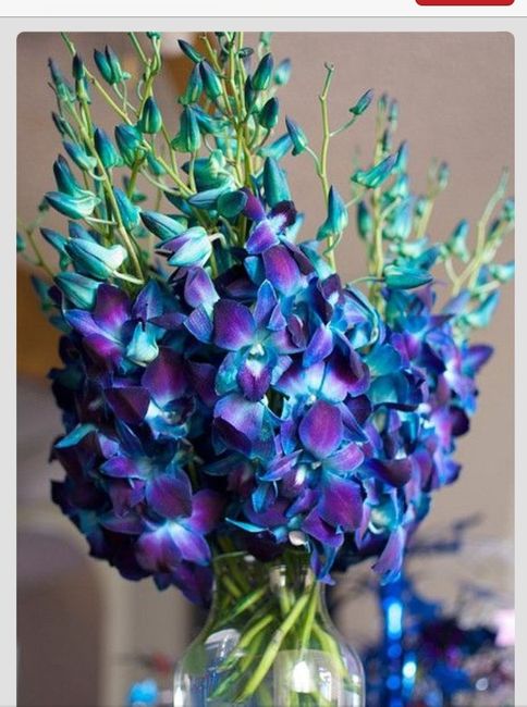 Ayuda!!!!! No que flores son!!!!! - 2