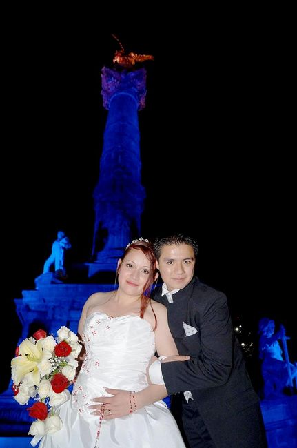 boda bichos