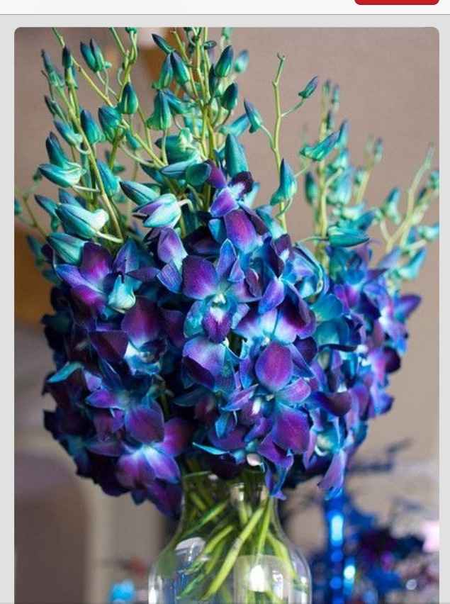 Ayuda!!!!! No que flores son!!!!! - 2
