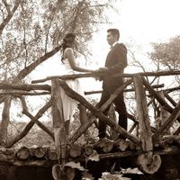 Puente de troncos
