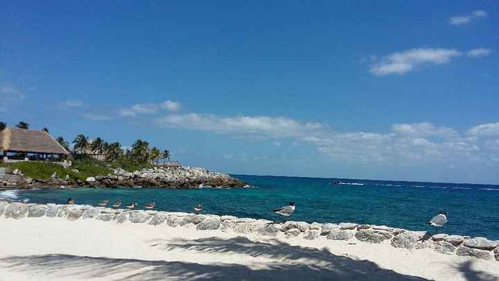 Luna de Miel indecisa ayuda D: !!! - 1