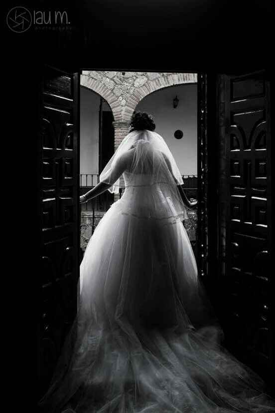 Saben de un buen proveedor de fotografía? - 1