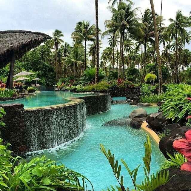 Paradisiaca luna de miel