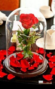 Decoracion