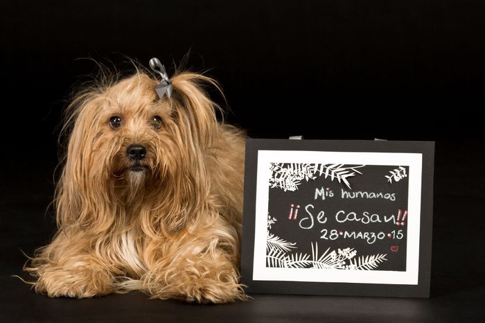 La foto de tu mascota! - 1