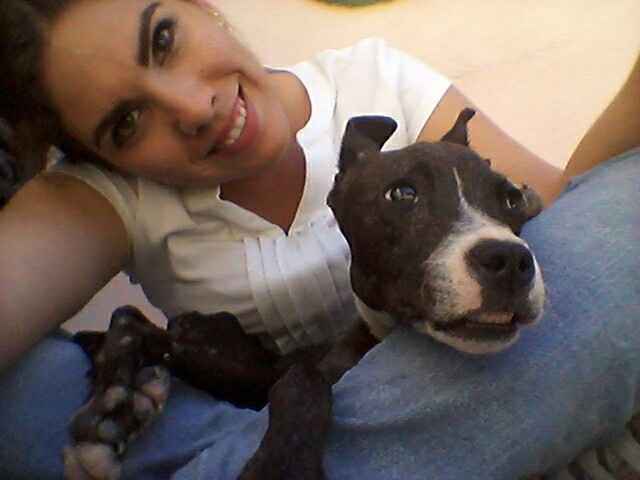 Y las mascotas? - 4