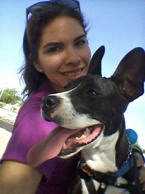 Y las mascotas? - 8