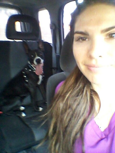 Y las mascotas? - 6