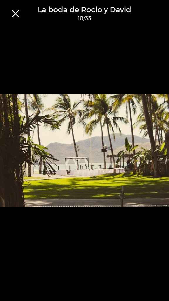 Ayuda: Decoración para Boda en Jardín - 1