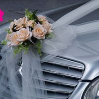 Auxilio!!  coche de novios - 1