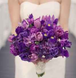 Ramo ultra violet