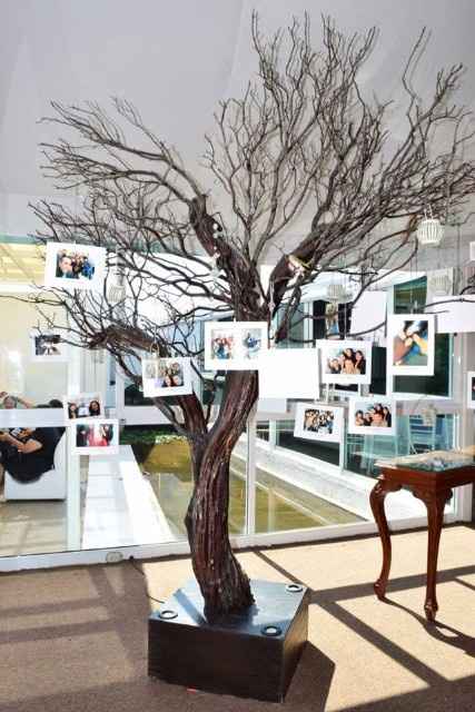 Árbol de los deseos