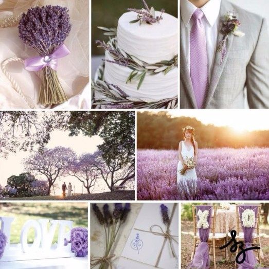Lavanda