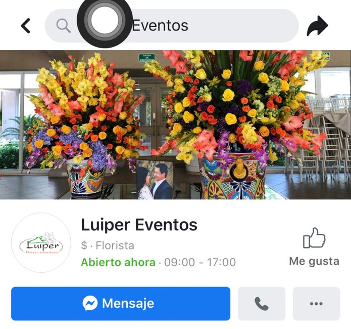 Proveedores de flores 1