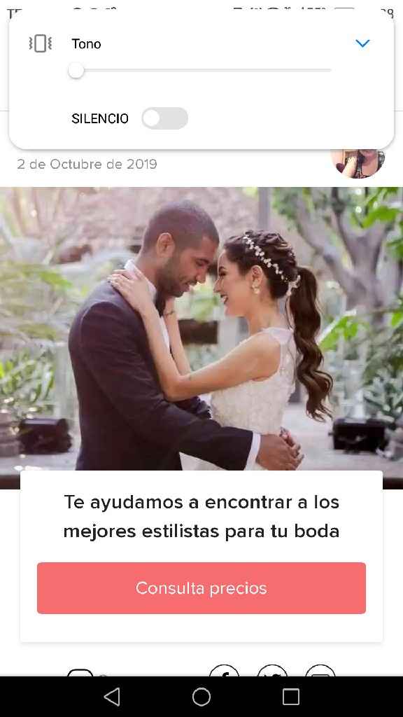 Ayúdenme a elegir un peinado acordé a mi vestido porfis - 4