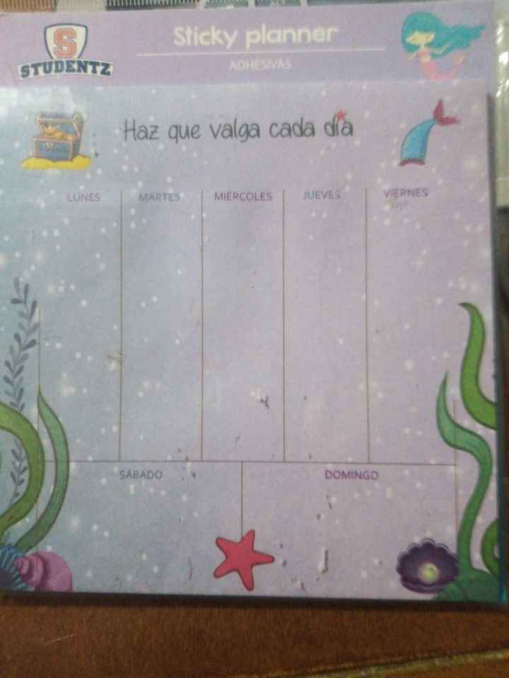 ¿Utilizas una agenda para organizarte? - 4