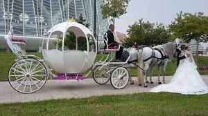 Yo nunca, nunca llegaría en carruaje a mi boda🐴🐴 - 1