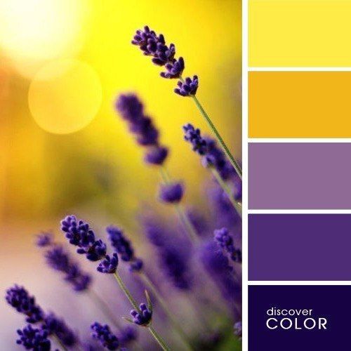 Pantone 2018